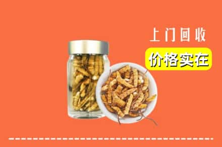 收购资讯:洛阳洛宁县回收散虫草