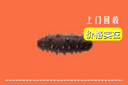 收购资讯:洛阳洛宁县回收海参