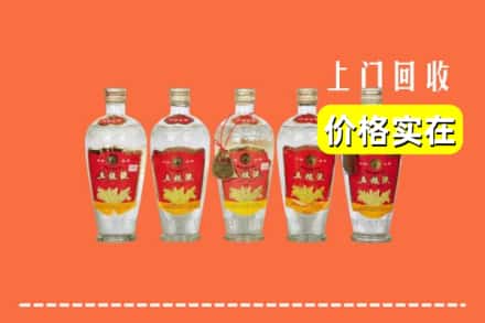 洛阳洛宁县回收老五粮液